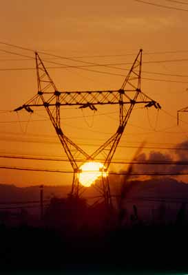 金沙(8087-js认证)娱场城-Officialwebsite