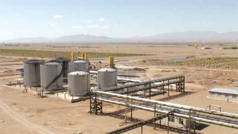 金沙(8087-js认证)娱场城-Officialwebsite