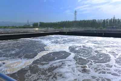 金沙(8087-js认证)娱场城-Officialwebsite