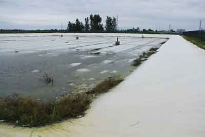 金沙(8087-js认证)娱场城-Officialwebsite